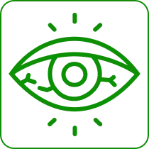 jaundice