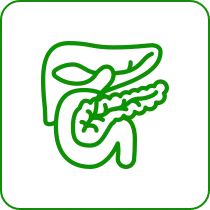 liver