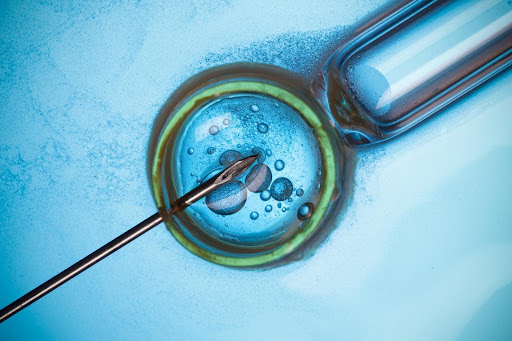 ivf